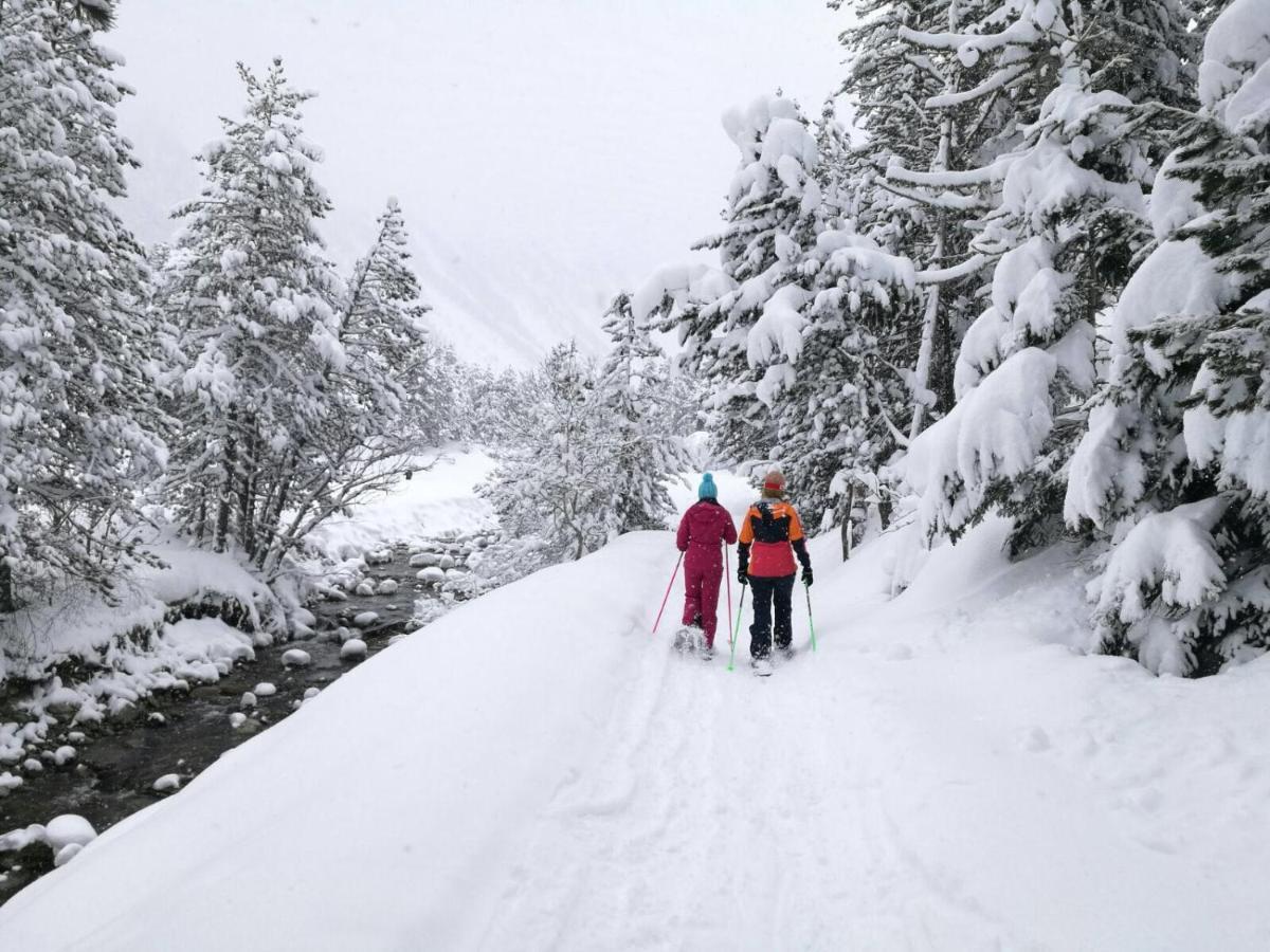 Riu Nere Mountain Hotel Vielha Exteriör bild